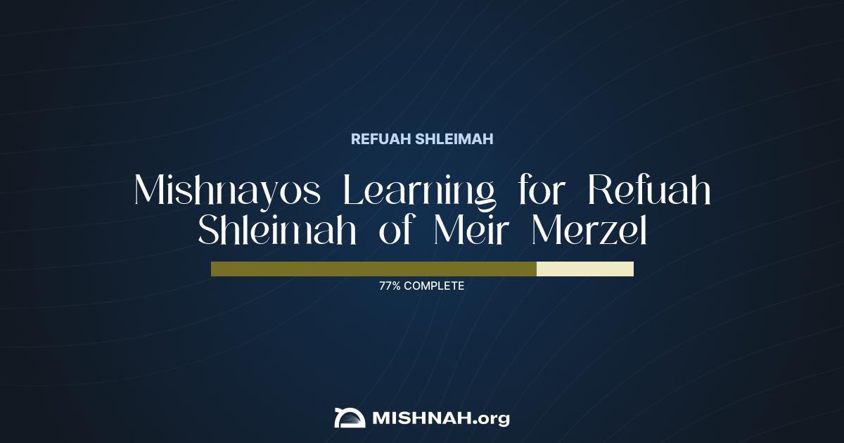Meir Merzel Mishnah Learning Chart | Mishnah.org