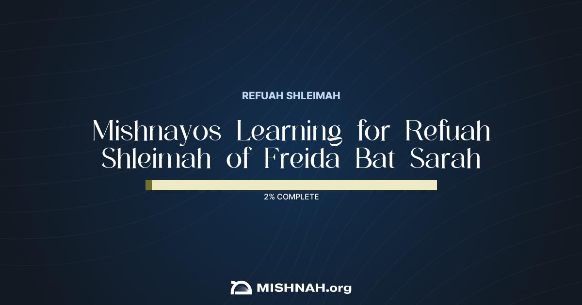 Freida Bat Sarah Mishnah Learning Chart | Mishnah.org